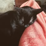 Hannah Farwell - @hannahgfarwell - Instagram
