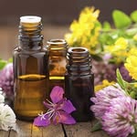 Hannah Fedor - @3essentialoils.for.migraines - Instagram