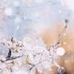 Hannah Feeney - Facebook