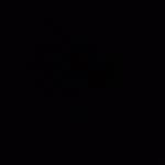 Hannah Felton - @hannah.felton7 - Instagram