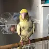 Hanna Ferrante - @hannaferrante1 - TikTok
