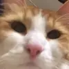 hannahferry01 - @hannahferry01 - TikTok