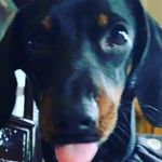 Hannah Flaherty - @hannahflaherty70 - Instagram