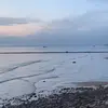 Hannah Fleury - @hannah.fleury6 - TikTok