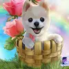Hannah Flick - @izzy_my_amazing_dog - TikTok