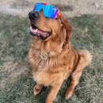 Hannah Flint - @hannah_flint13 - Instagram