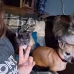 Hannah Lynn fortner - @hannahlynnfortner - Instagram