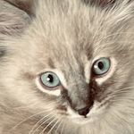 Hannah Freimark - @hannah.r.freimark - Instagram