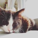 Hannah Freund - @freund2954 - Instagram