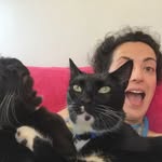 Hannah Friedman - @thehannahfriedman - Instagram