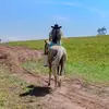 hannahfriedmen - @hannahfriedmen - TikTok