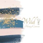 Hannah Gentry - @wildhoney_canvas - Instagram
