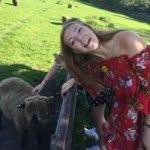 Hannah Gooch - @hannahbryonybakes - Instagram
