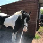 Hannah Grantham - @hannyg30 - Instagram