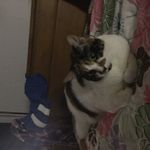 Hannah Grice - @hannah.grice0615 - Instagram