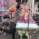 Hannah B - @hannahgroomsdogz - Instagram