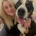 Hannah - @hannahgroomsdogs - Instagram
