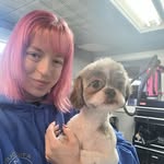 Hannah Magram grooms pups 🐶 - @hannah.grooms.pups - Instagram
