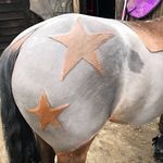 Hannah Mason Freelance Groom - @hm_freelancegroom - Instagram