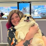 Sugar Plum’s Grooming - @hannah.grooms - Instagram