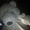 @donuts - @gummyhannah - TikTok