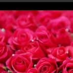 Hannah Hatten - Facebook