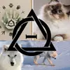 Hannah ╶⃝⃤𓃥 - @hannah.hazel0 - TikTok