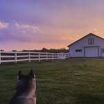 Hannah Hedrick - @dynamic_duo_plus_3 - Instagram