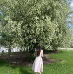 Hannah Heide - Facebook