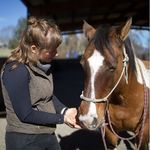 Hannah Heiser - @transformativehorsemanship - Instagram