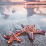 Hannah Mae Heiser - @starfish_2864 - Instagram