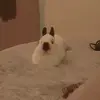 Hannah - @hannah.hendricks - TikTok
