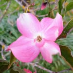 Hannah Herold - @hannahherold4 - Instagram