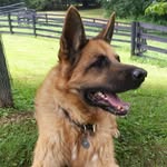 The Hannah Hershey Fund - @hannahhersheyfund - Instagram