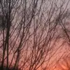 hannahhetrick09 - @hannahhetrick0987654321 - TikTok