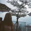 Hannah - @hannah.higgs - TikTok