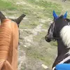 hanfjdsn - @hannah.hillman1 - TikTok