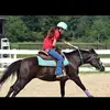 hannahhillman_ - @that1.horsegirl - TikTok