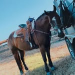 @hannah._.and._.holly - Instagram
