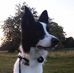 Hannah Holm - Facebook