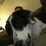 Hannah Horner - @bramble12341 - Instagram
