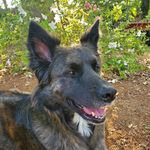 Hannah Koehn Hubbell - @yashas.mom - Instagram