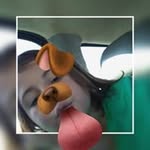 hannah - @hannahhuckaby1008 - Instagram