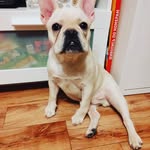 Hannah Huckaby - @prakasnasra - Instagram