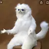 hannah - @hannah.irwin - TikTok
