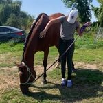 Hannah Irwin - @hannahhazel_eq - Instagram