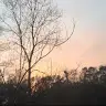 stupid bitch - @hannahivey7 - TikTok
