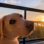 Hannah Kempf - @hannah__kempf - Instagram