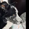 нαииαн кєииєу - @hannahkenney - TikTok