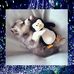 Hannah Kesterson - Facebook